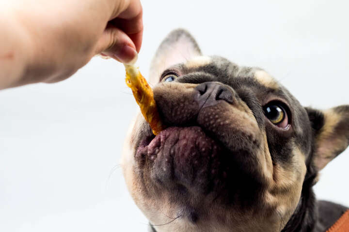 Nobby Hundeleckerli StarSnack Barbecue Wrapped Chicken